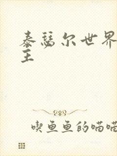 泰瑟尔世界之领主