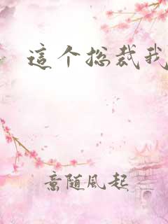 这个总裁我要了