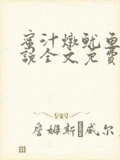 蜜汁炖鱿鱼2小说全文免费阅读