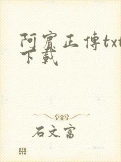 阿宾正传txt下载