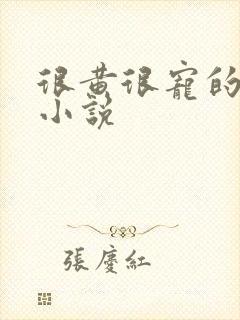 很黄很宠的总裁小说