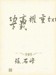 功高权重txt下载