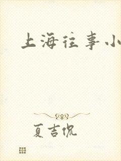 上海往事小说