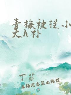 青梅被从小摸到大h补