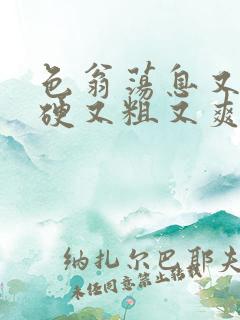 色翁荡息又大又硬又粗又爽