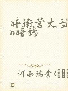 暗卫营大型hpn暗鸦