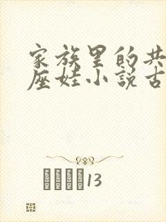 家族里的共用小座娃小说古代