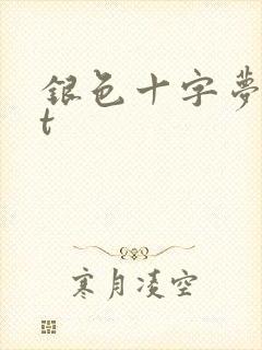 银色十字梦txt