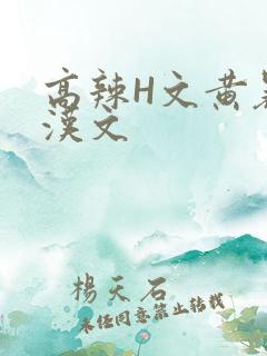 高辣H文黄暴糙汉文
