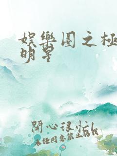 娱乐圈之极品大明星