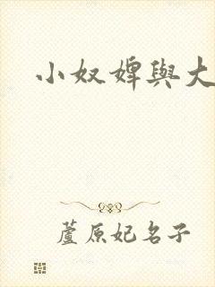 小奴婢与大少爷