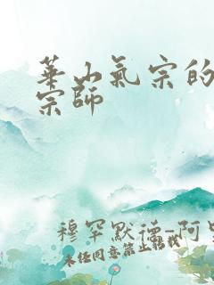 华山气宗的形意宗师