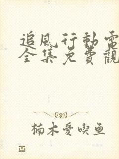 追风行动电视剧全集免费观看