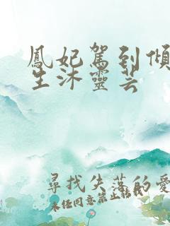 凤妃驾到倾倒众生沐灵芸