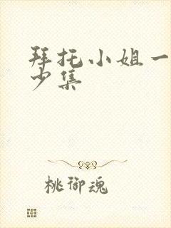 拜托小姐一共多少集