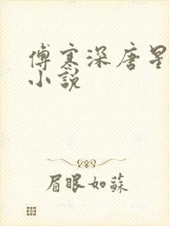 傅寒深唐星挽的小说