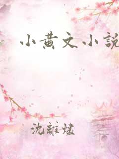 小黄文小说