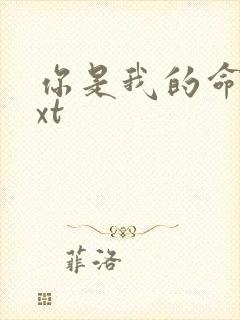 你是我的命运txt