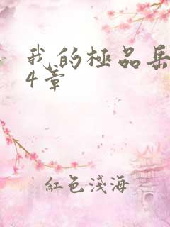 我的极品岳坶34章