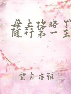 母上攻略 竹影随行第一主板