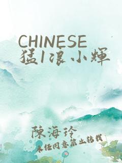 CHINESE猛1浪小辉