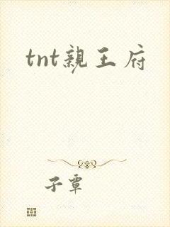 tnt亲王府