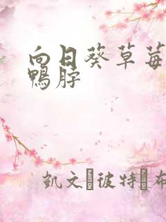 向日葵草莓丝瓜鸭脖