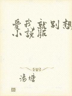 爱我就别想太多小说版