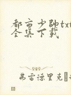 都市少帅txt全集下载