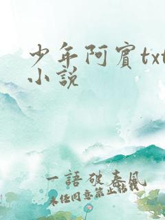 少年阿宾txt小说