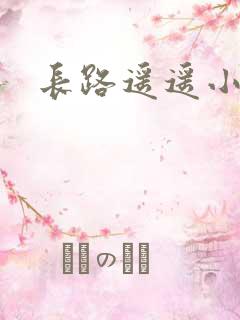 长路遥遥小说