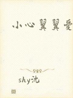 小心翼翼爱上你