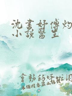 沈书妤傅灼抖音小说医生