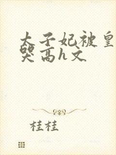 太子妃被皇上c哭高h文