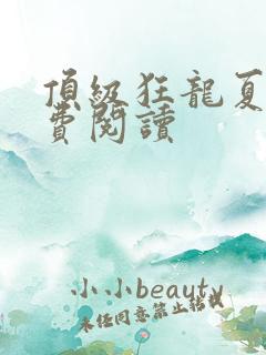 顶级狂龙夏天免费阅读