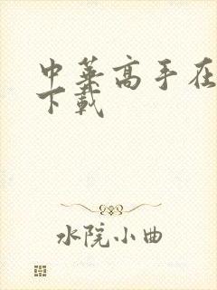 中华高手在异世下载