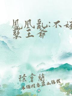 凤凰乱:不嫁妖孽王爷