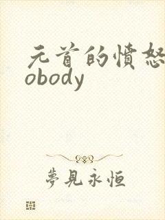元首的愤怒之nobody