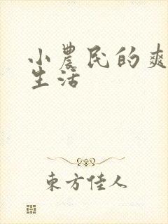 小农民的爽歪歪生活