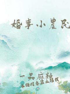 婚事小农民