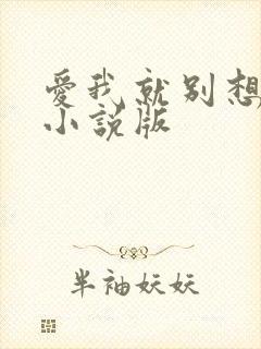 爱我就别想太多小说版