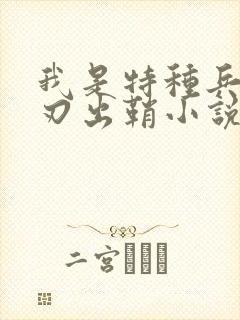 我是特种兵之利刃出鞘小说