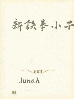 新铁拳小子