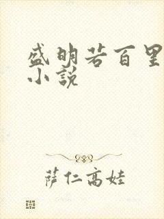 盛明若百里轻尘小说