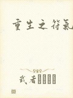 重生之符气冲天