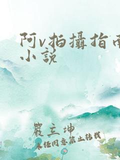 阿v拍摄指南说小说