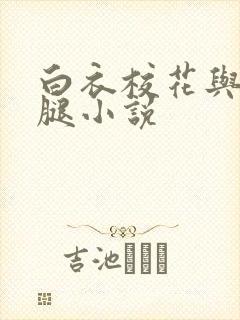 白衣校花与大长腿小说