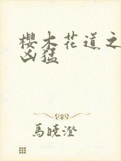 樱木花道之重生凶猛