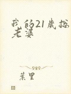 我的21岁总裁老婆