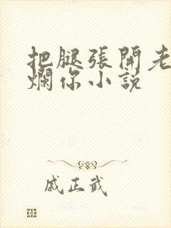 把腿张开老子臊烂你小说